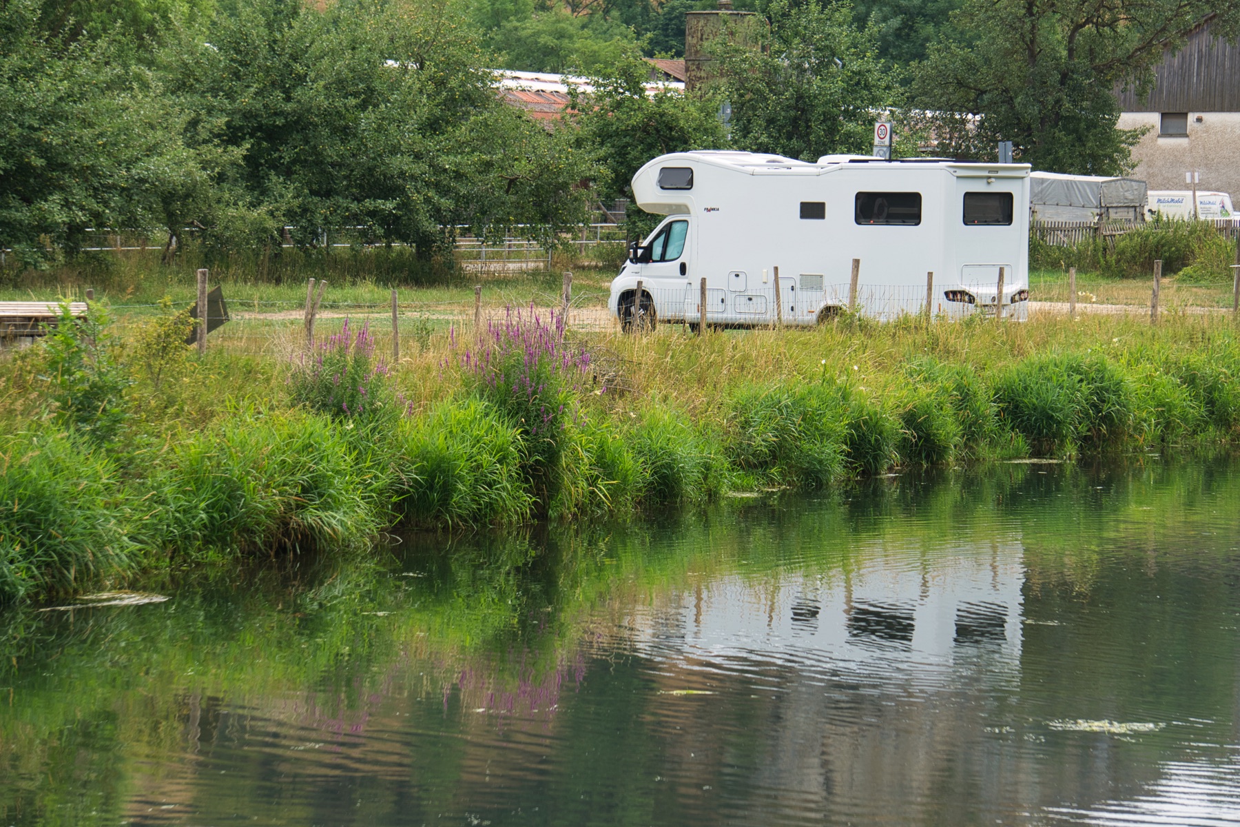 Momo am Fluss bei Eselsburg